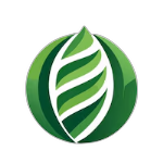 星辰影院高清免费观看电影